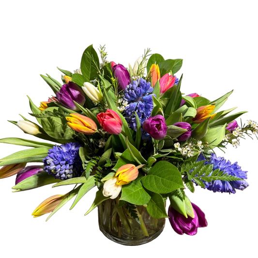 Mixed Tulips
