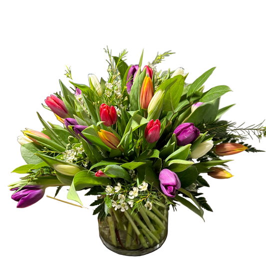 Mixed Tulips