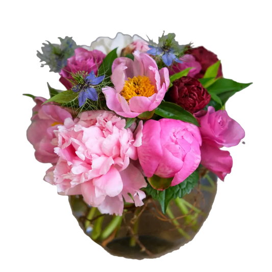 Bouquet of pink and red flowers in a clear vase on a white background
