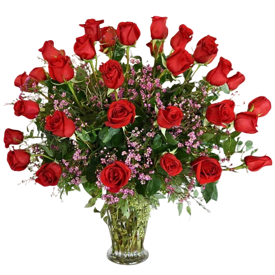 Bouquet of three dozen red roses with greenery and pink wax flower in a clear vase 